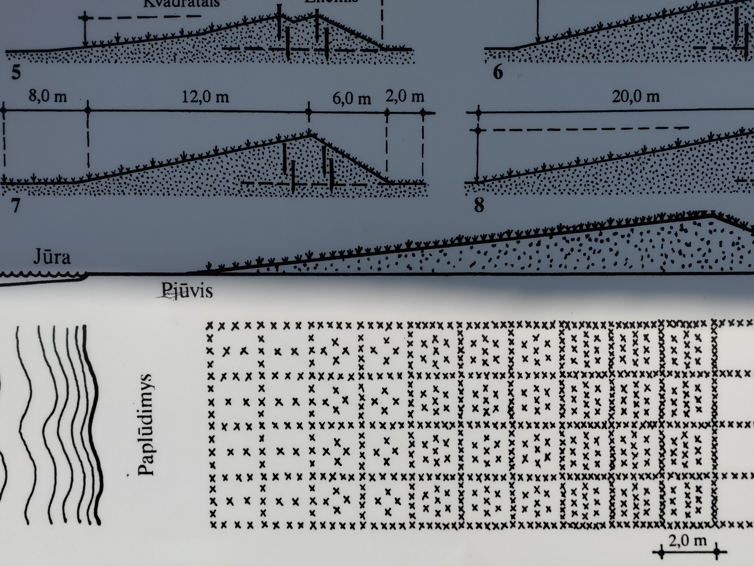 dune fortification drawing from an information board near the sea-dune
