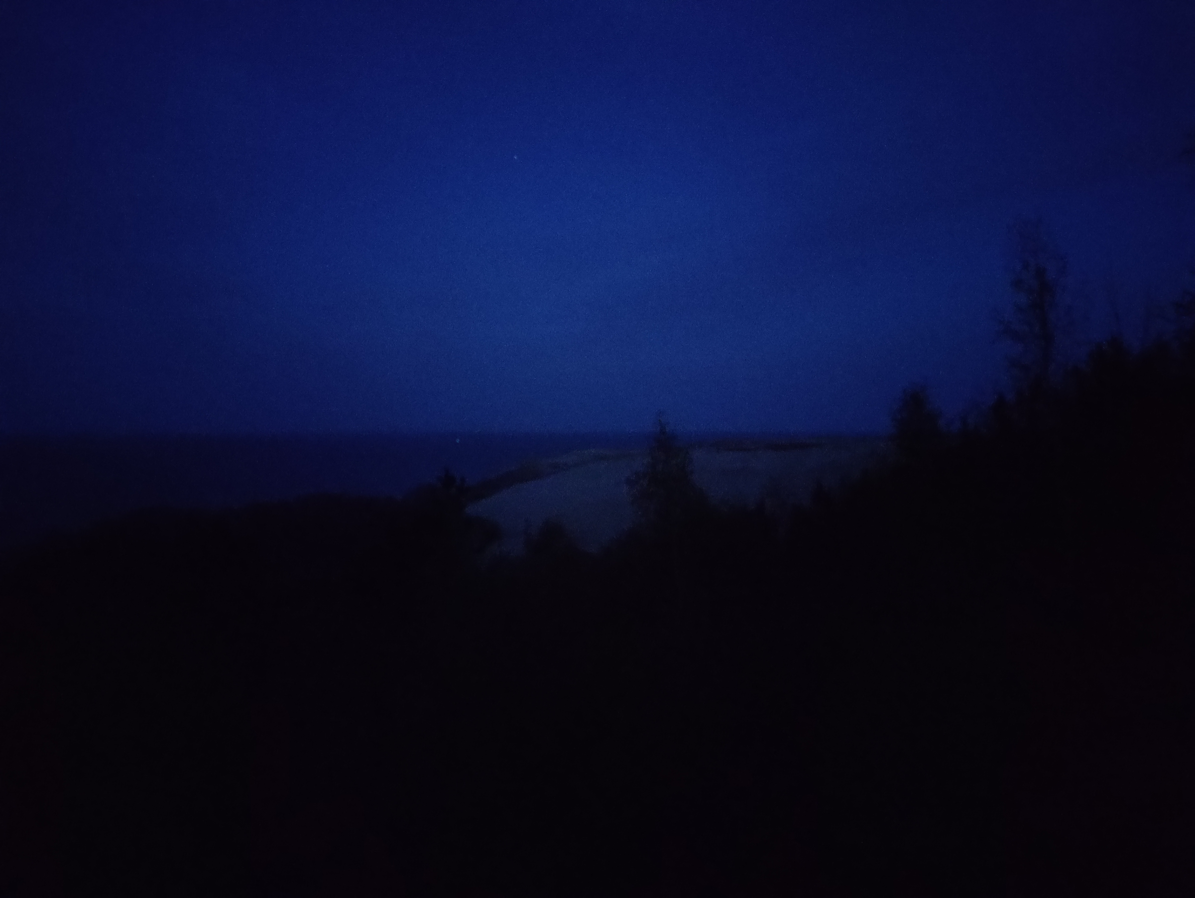 nightwalk