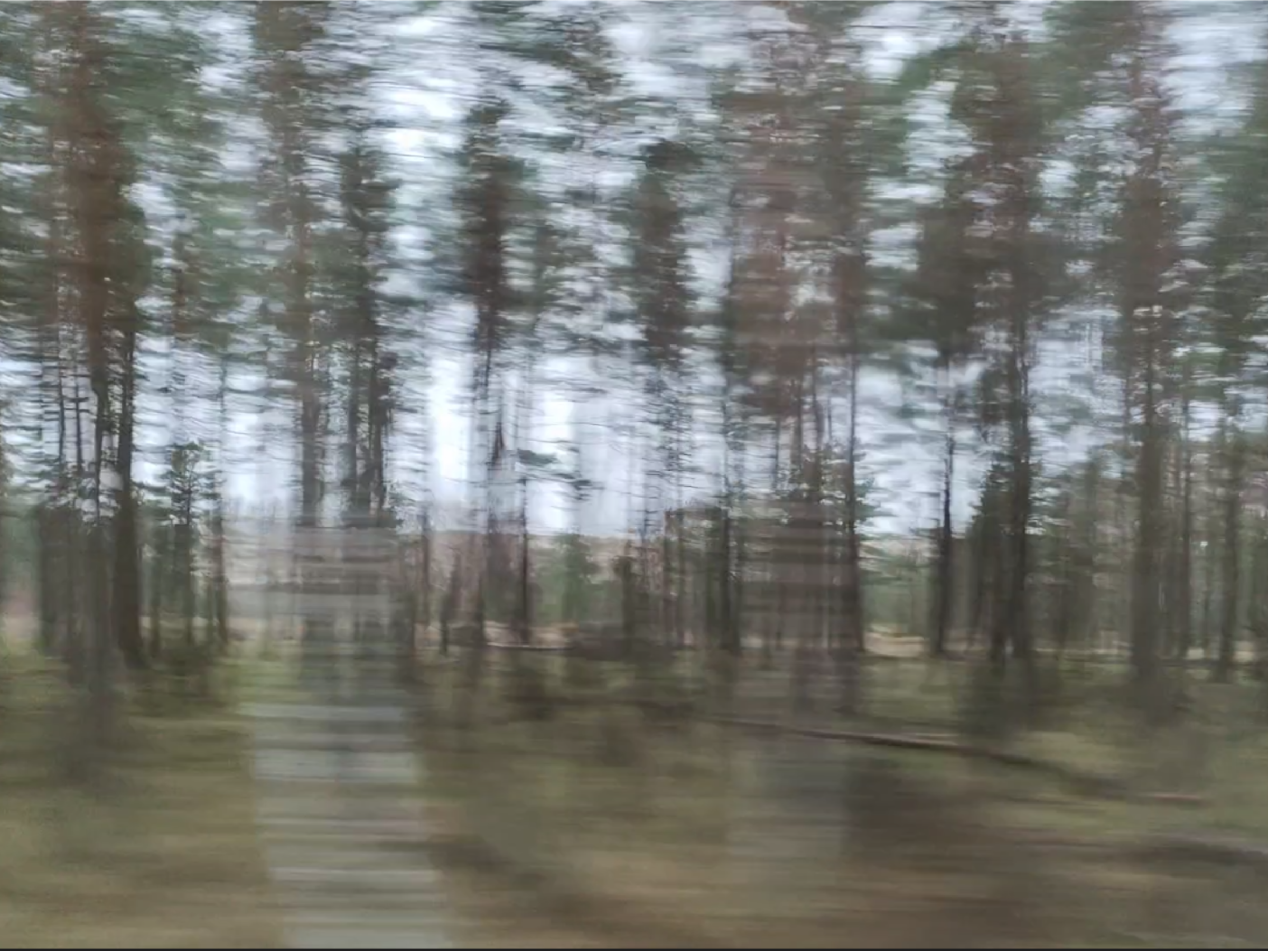 screenshot from a video of trees rushing by